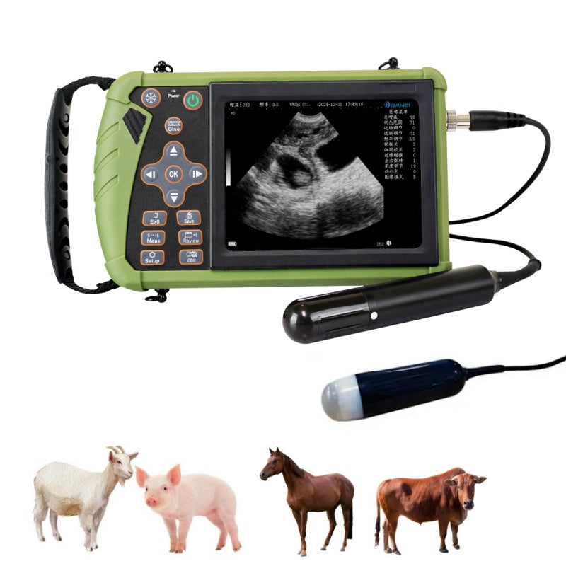 Portable Ultrasound S0 for Medium Animals
