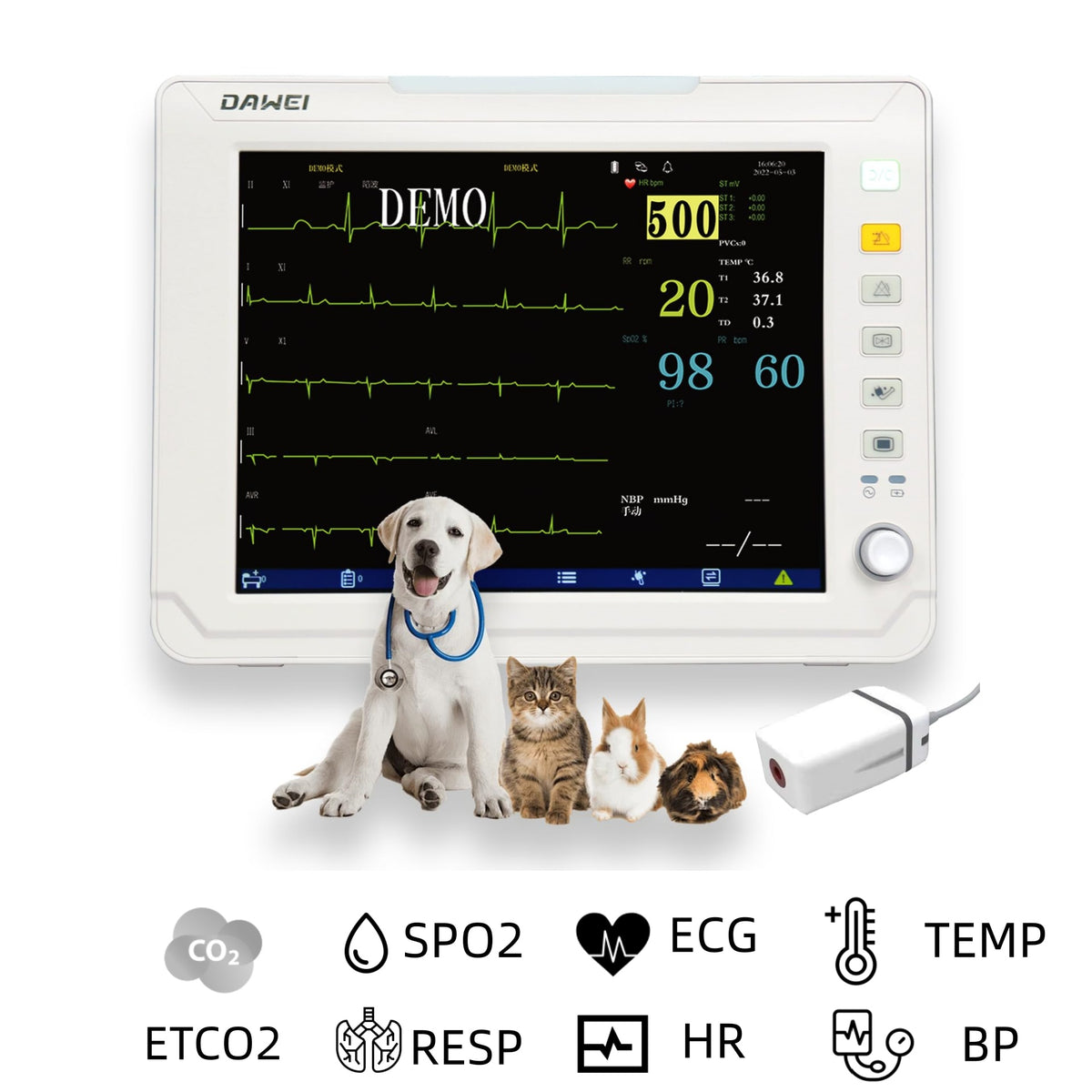 12.1 Inch Vet Patient Monitor HM10