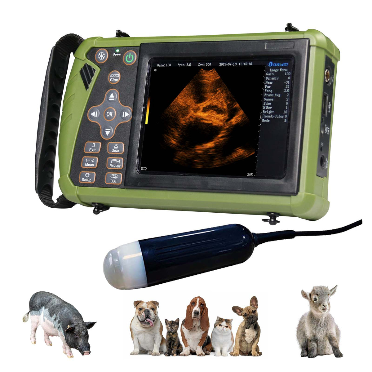 Portable Ultrasound S0 for Medium Animals