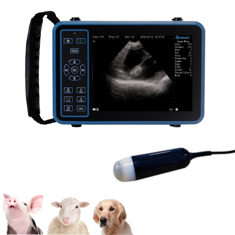 Portable Ultrasound M0 for Medium Animals